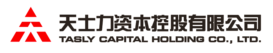 凯时网站资本控股有限公司